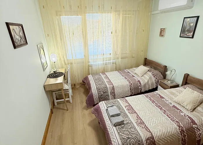 гт * 플로브디프